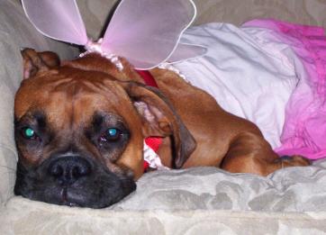 FINALLY she is worn out!