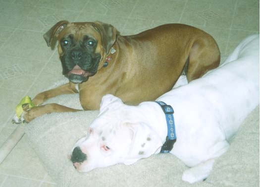 Fine and his new sister Nessa
