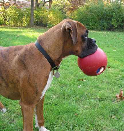 Finley holding his ball