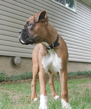 Finley_profile