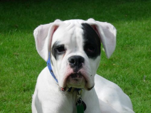 Finn age 6 months