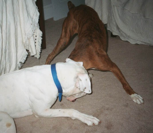 Finn and Trudy