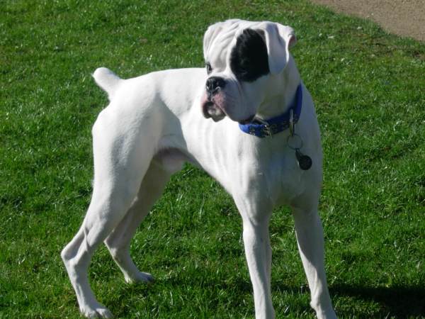 Finn at 14 months old