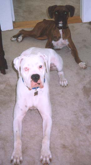 Finn with one of his girlfriends - Trudy