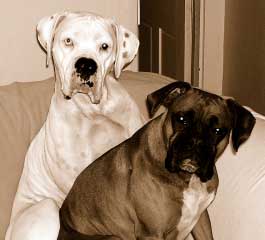 Finnegan & Nessa
