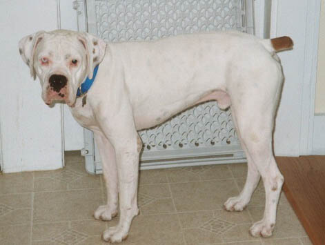 Finnegan