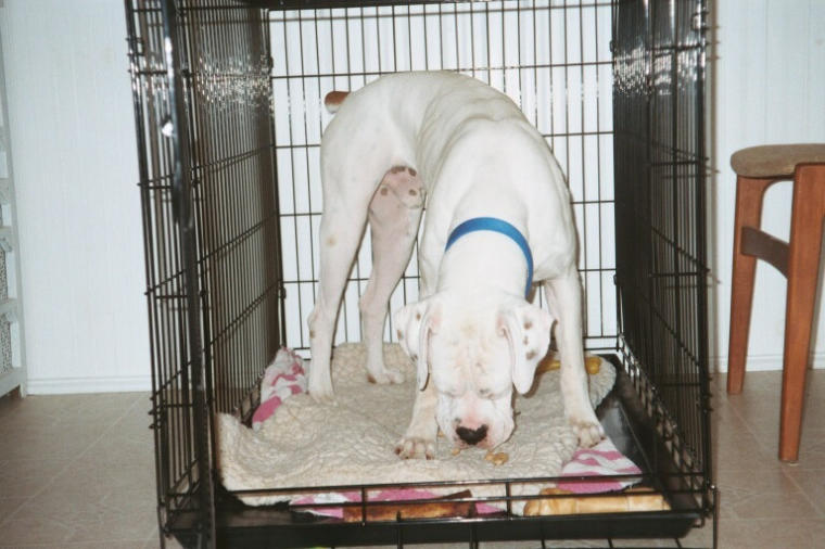 Finnegan