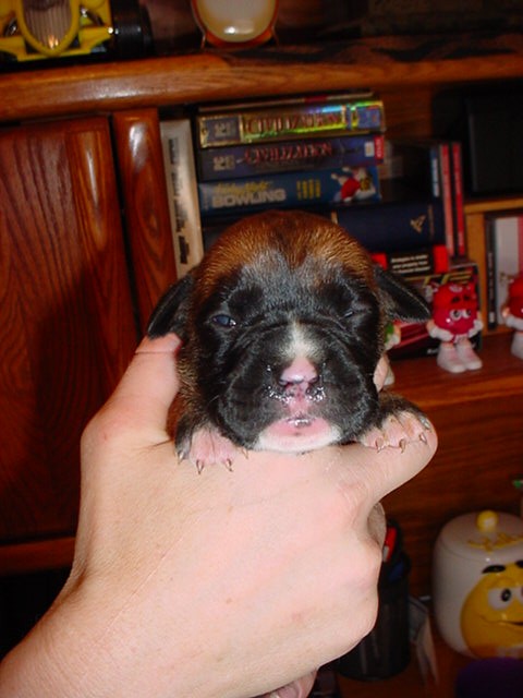 Fiona at 2 weeks