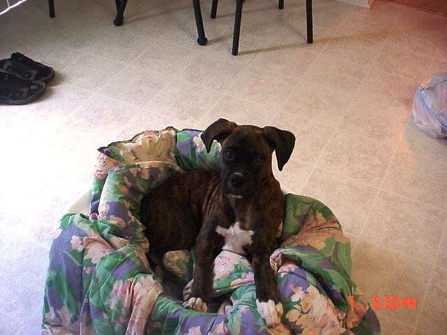 Fiona getting in trouble