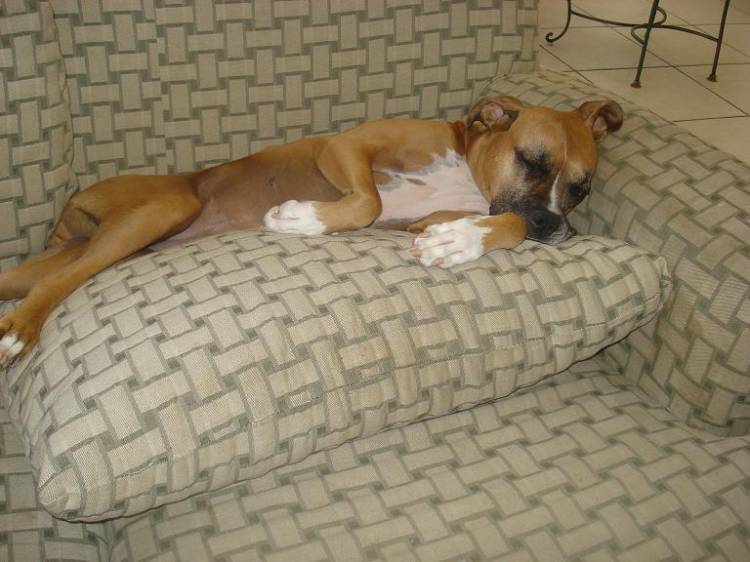 fiona the sleeping beauty