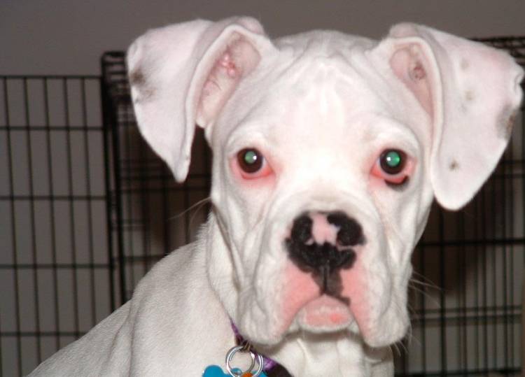 Fiona