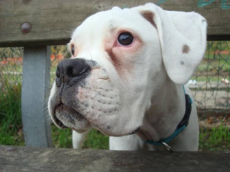 Fiona