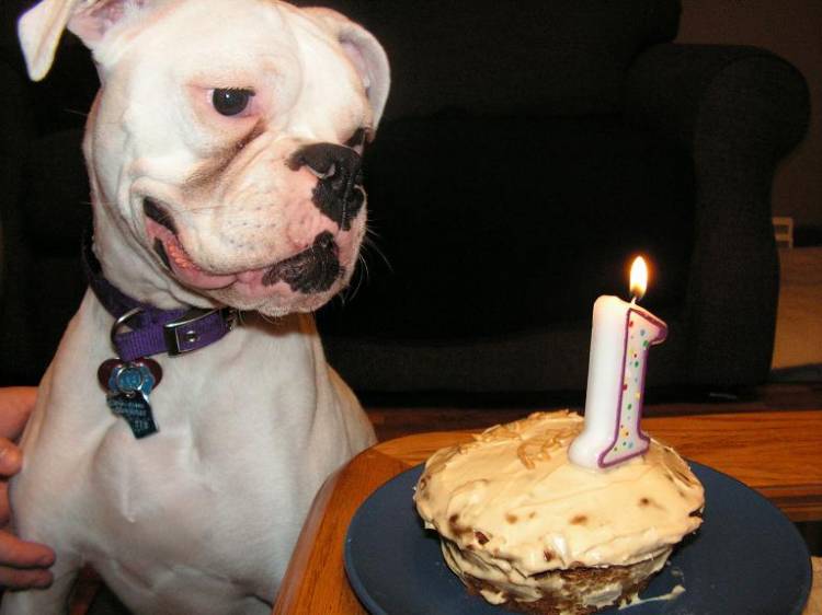 Fiona's 1st birthday