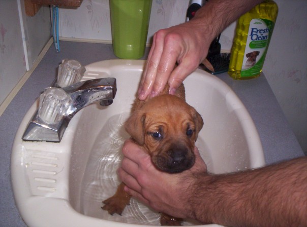First bath!
