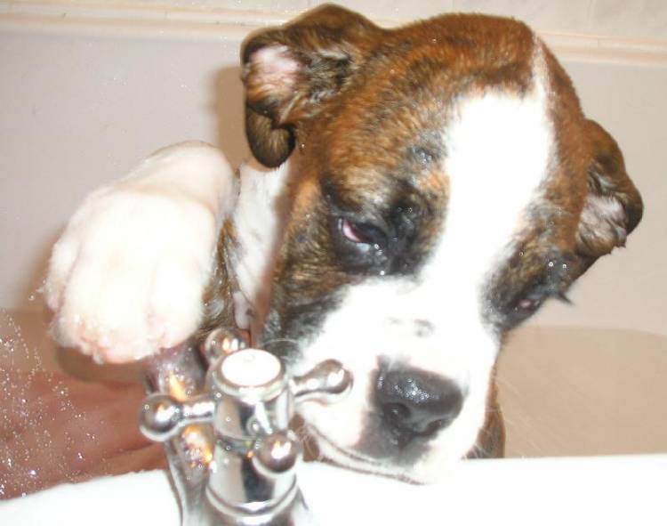 First Bath