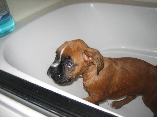 First bath