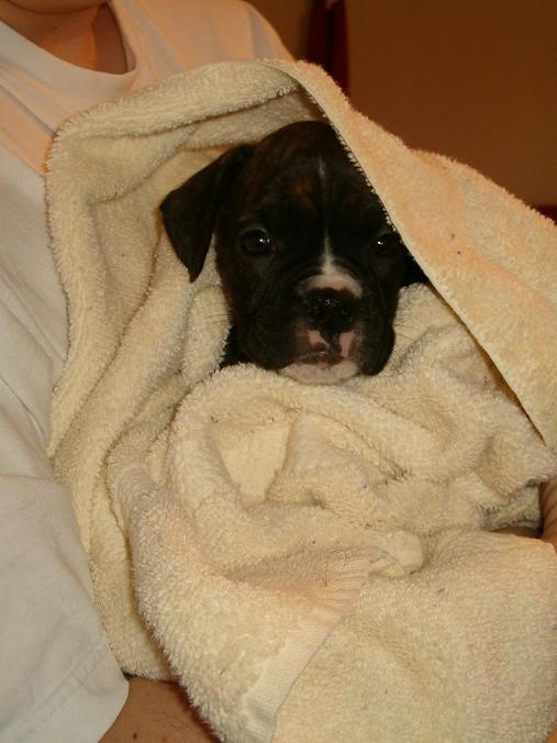 first bath
