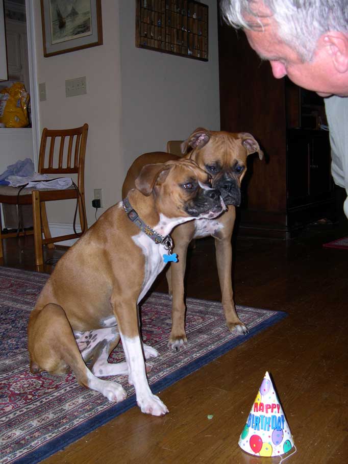 First Birthday
