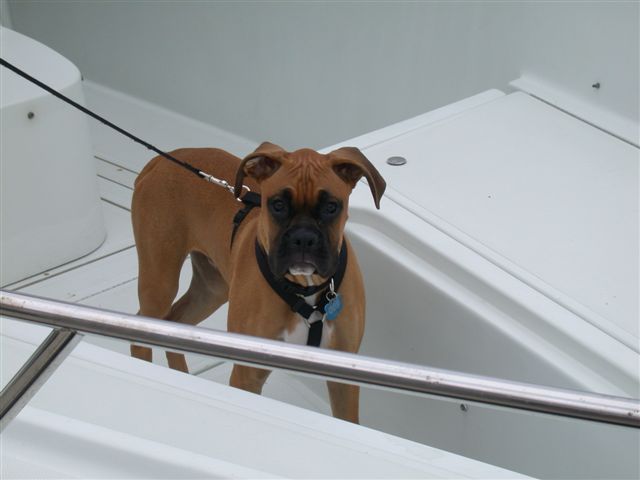 First Boat Ride