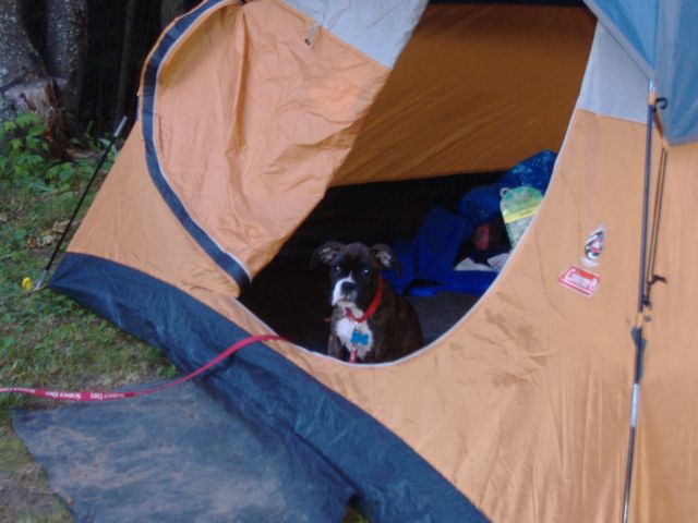 first camping trip