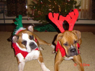 First Christmas w/ Hilda