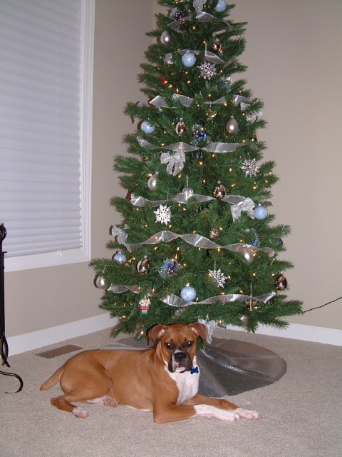 First Christmas