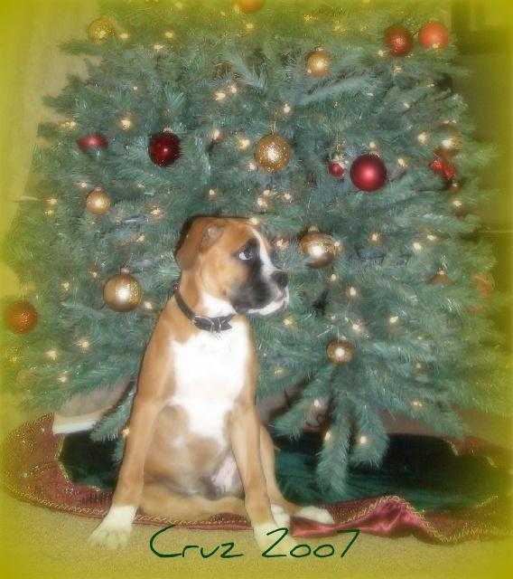 First Christmas