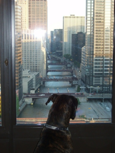 First City visit