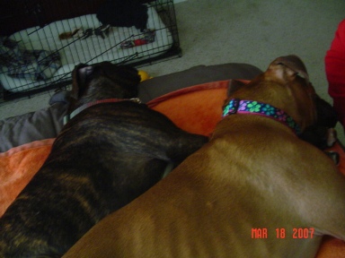 First cuddle