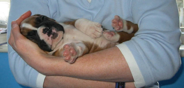 First Cuddles!
