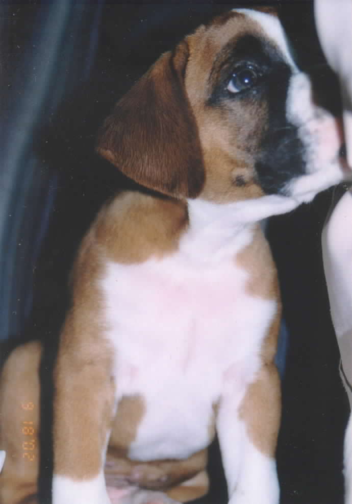 First Day at Home.