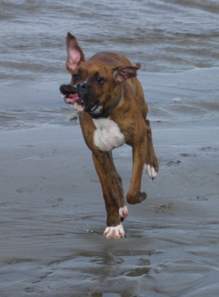 First day at the beach