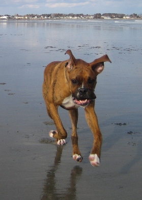 First day at the beach