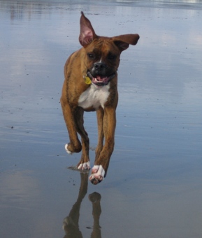 First day at the beach