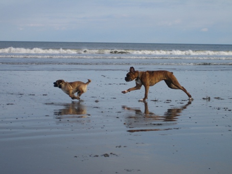 First day at the beach