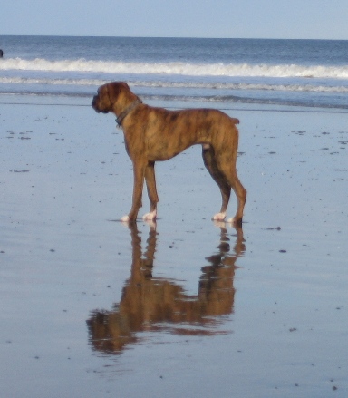 First day at the beach