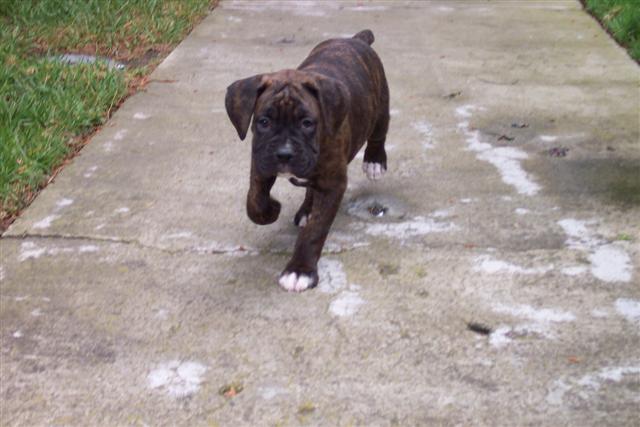 First Day Home 05-06-06