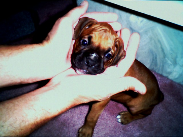 First Day Home - 6 wks old