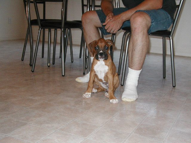 First Day Home