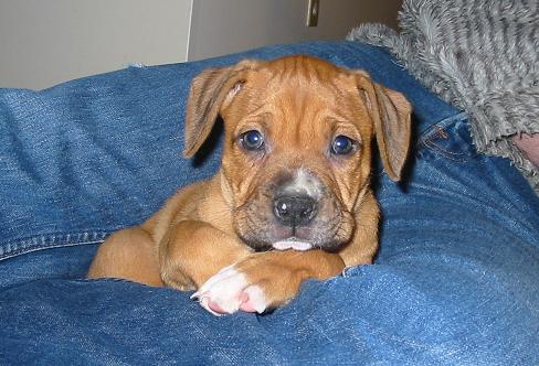 first  day home