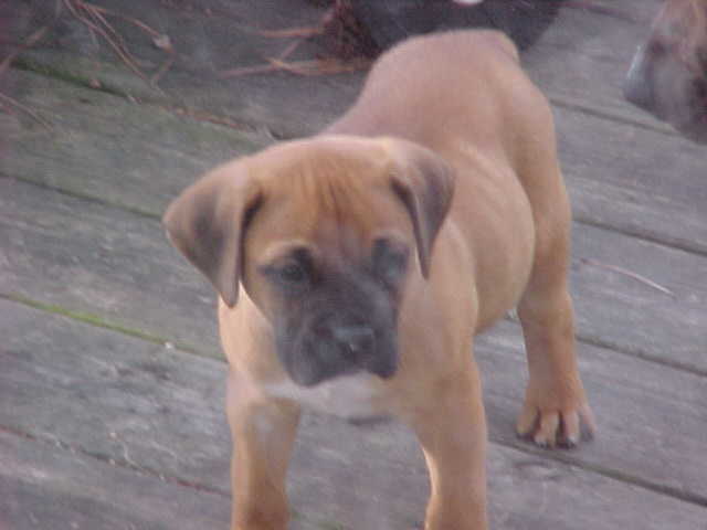 First Day Home