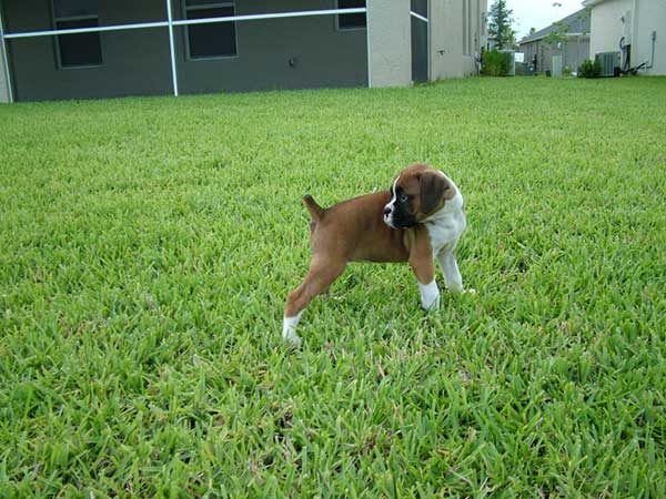 First Day Home