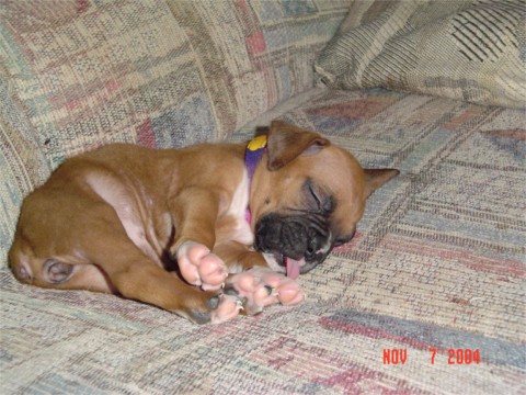 First Day Home