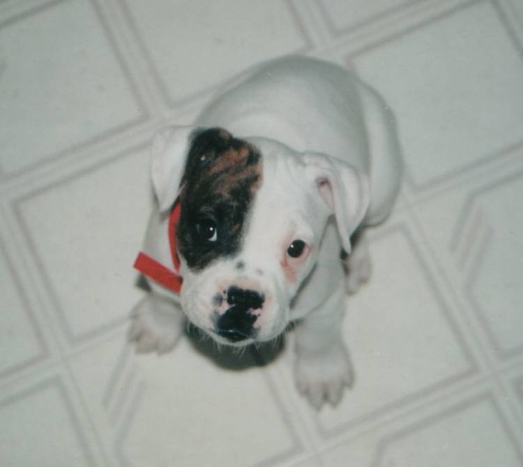First day home!