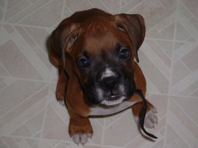 First Day Home