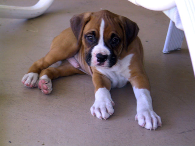 First Day Home