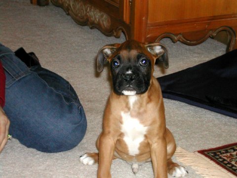 First day home