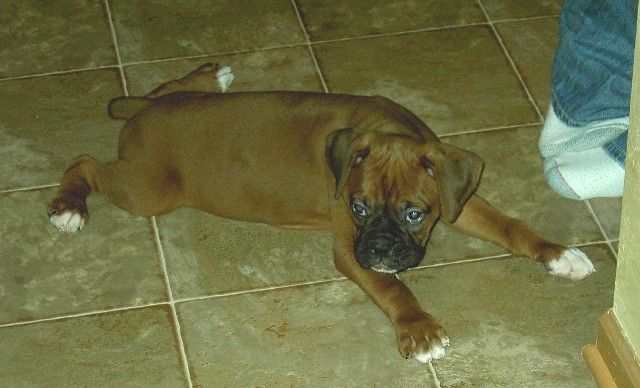 first day home
