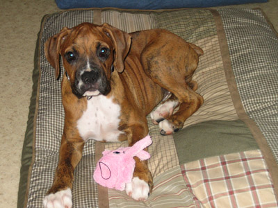 First Day home!