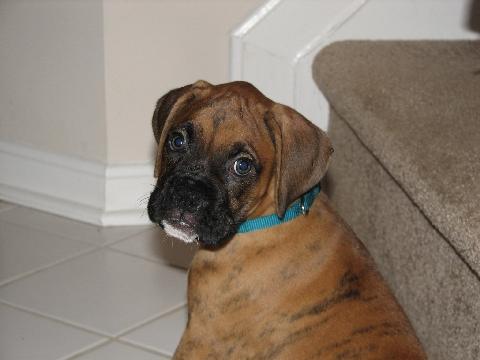 First Day Home